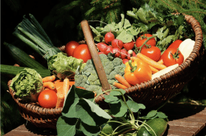 Panier de légumes de saison